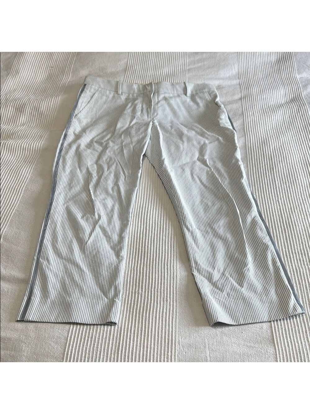 Sies Marjan Blue White Stripe Cropped Pants Size 4
